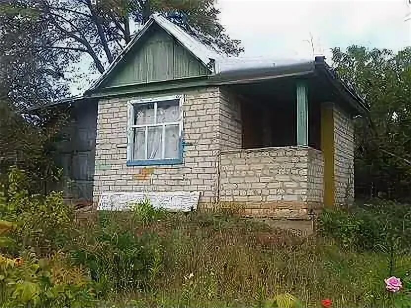 Садоводство 6 арзамас. Садоводство 6 арзамас. Земли татарстана. Садоводство 20 арзамас. Садовод в арзамасе.