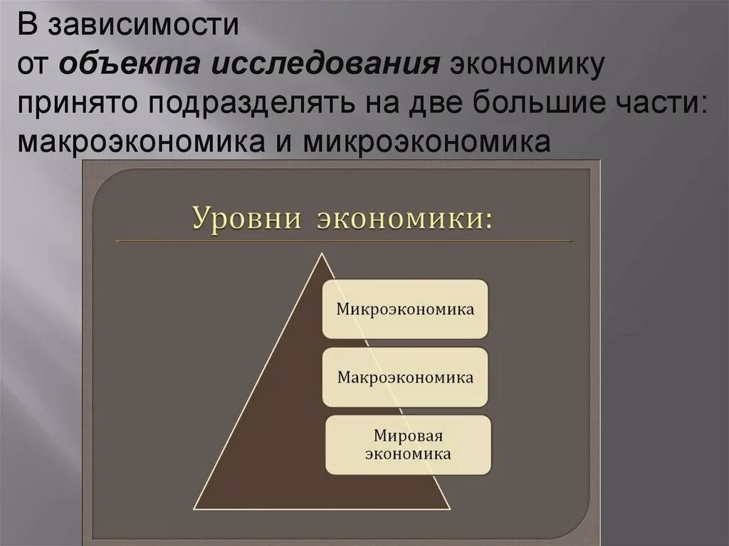 Микроэкономика макроэкономика мировая. Уровни экономики. мировая экономика это макроэкономика. уровни мировой экономики.