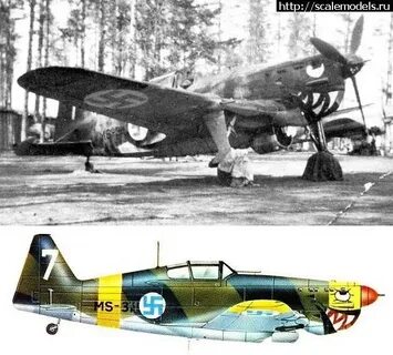 Ms 311