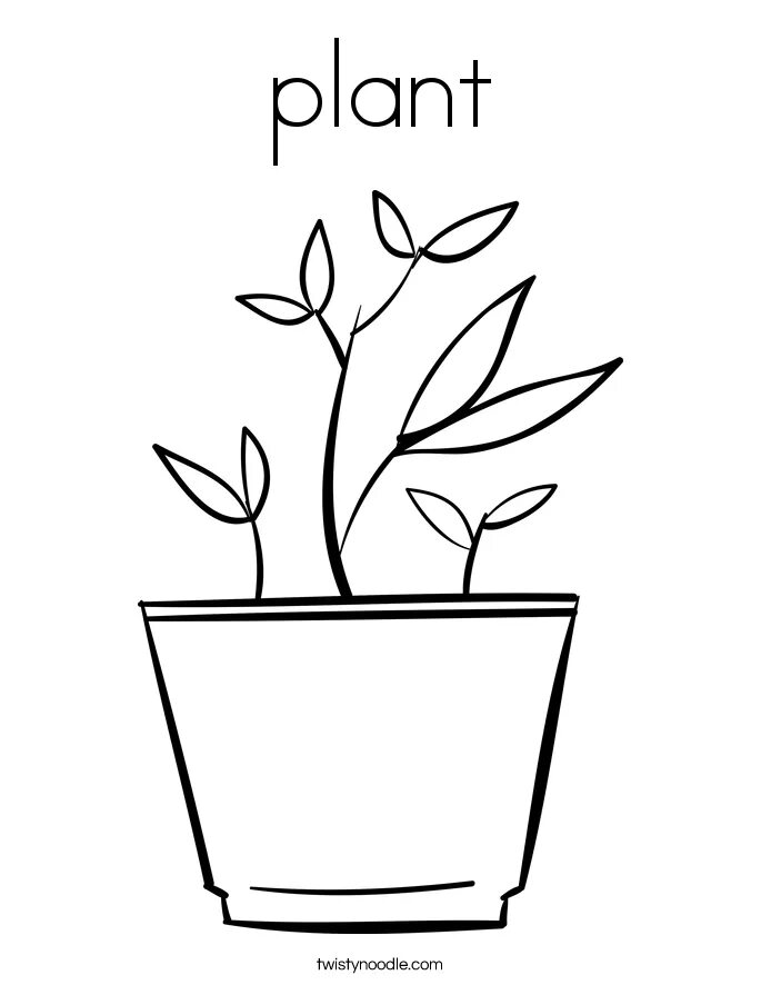 Plant color