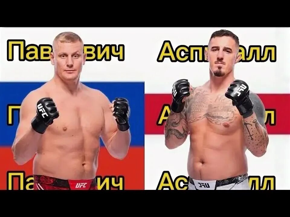 Ufc 295 павлович vs аспинэлл. Ufc 295 павлович vs аспинэлл