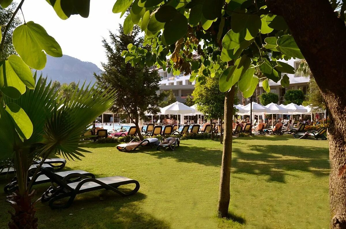 Greenwood kemer resort 4 гейнюк. Шервуд Гринвуд Кемер. Гринвуд Кемер отель Кемер. Greenwood Resort 4. Sherwood Greenwood Resort Hotel 4*.