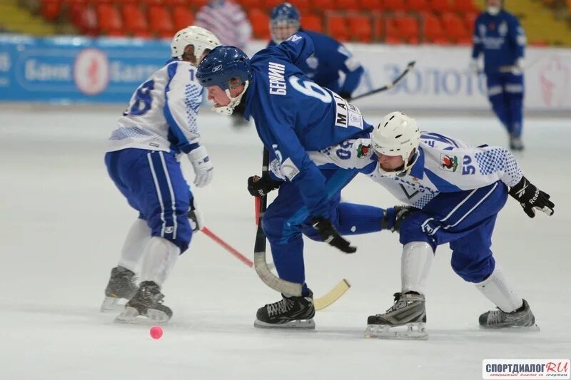 хоккей с мячом казань. бефус янис хоккей с мячом. команда по хоккею с мячом бенди динамо в рязани. енисей красноярск хоккей. хк динамо москва по хоккею с мячом.