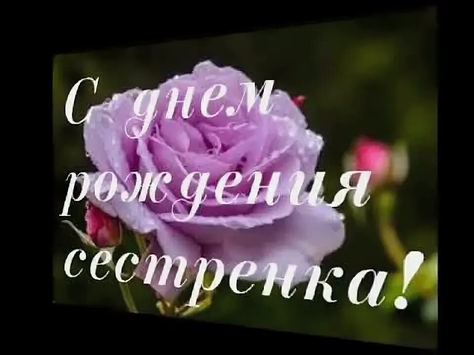 Стихотворение для сестры. Моей сестренке песни. Текст про сестру. Сестра. Любимая сестра стихи для тебя моя дорогая.