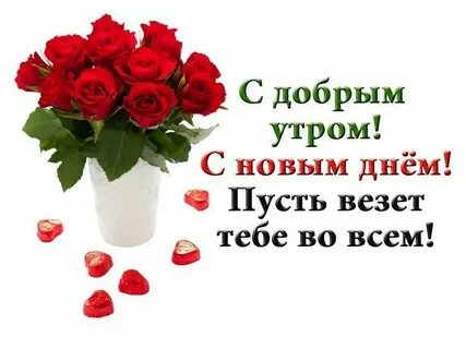 Пусть сегодня утро будет самым добрым