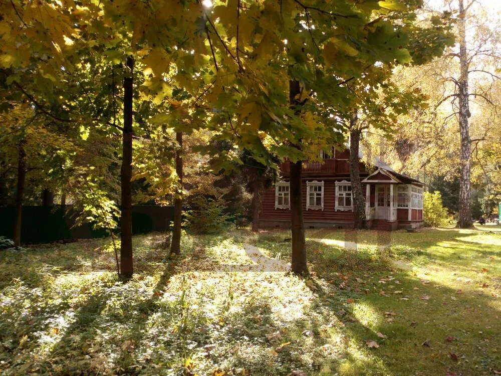 Погода в зеленоградском пушкинского района. Парк в поселке Зеленоградский Пушкинский район. Зеленоградский (дачный посёлок). Ст Зеленоградская Пушкинский. Детский сад поселок Зеленоградский Пушкинский район.