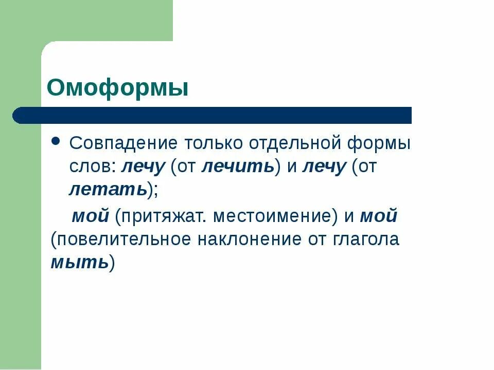 Формы слова летим. Омоформы. Омоформы примеры. Омоформы совпадают только в отдельных формах. Омоформы мой.