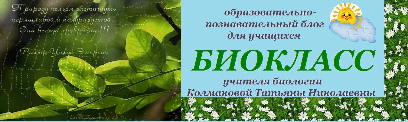 Биокласс. Биокласс. Школа апо. Биокласс. Биокласс 57.