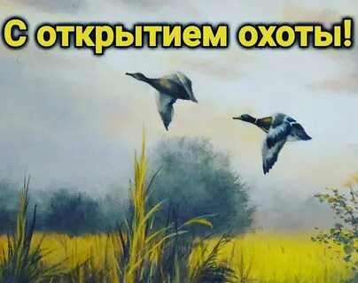 Хорошего дня охотнику