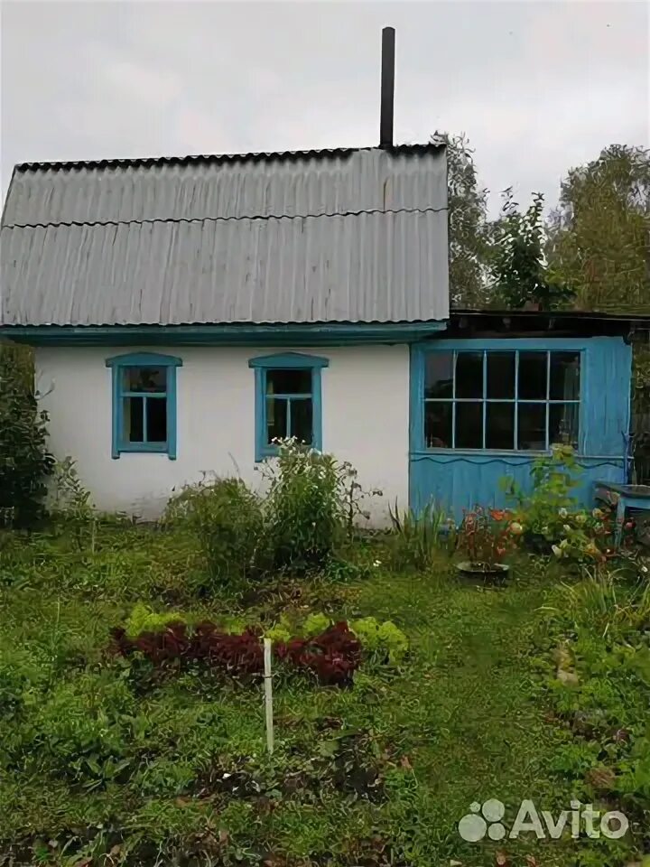 Дачи мыски. Дача мыски грэс лисовенко. димитровград посёлок дачный садовое общество. садовое сообщество улица вишневая пго. авито мыски.
