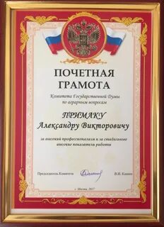 Отмечен высокий профессионализм