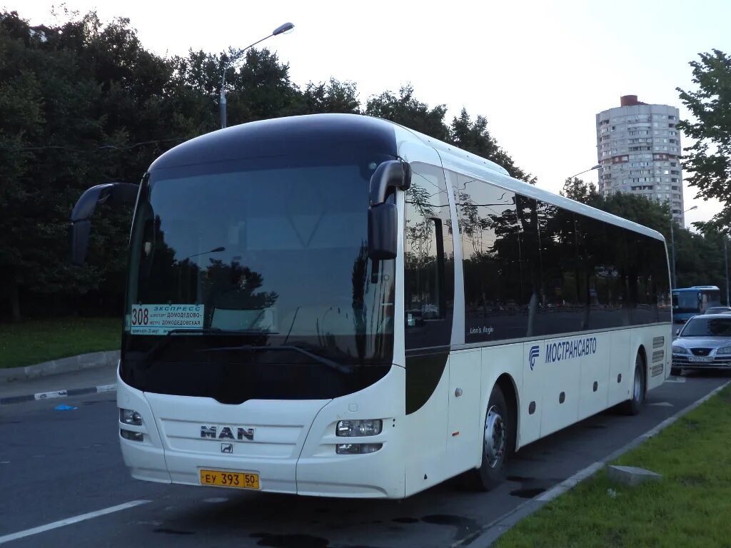 Автобус 516. Домодедово автобус 308. 308 маршрут домодедово. Метро домодедовская автобус 308. Голаз-6228.