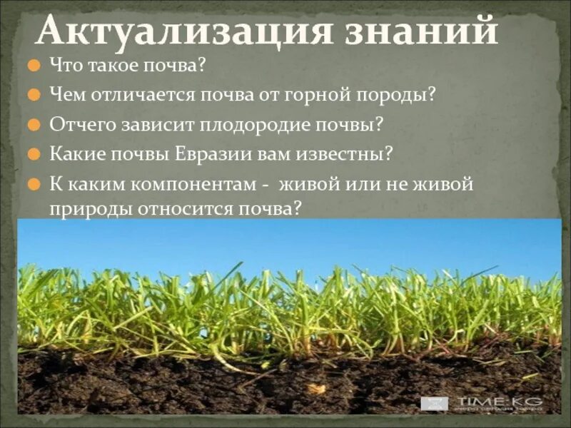 Высокогорные почвы плодородие. Плодородие зависит от. Плодородие почвы зависит от. Отличие почвы от горной породы. Плодородие это свойство почвы которое