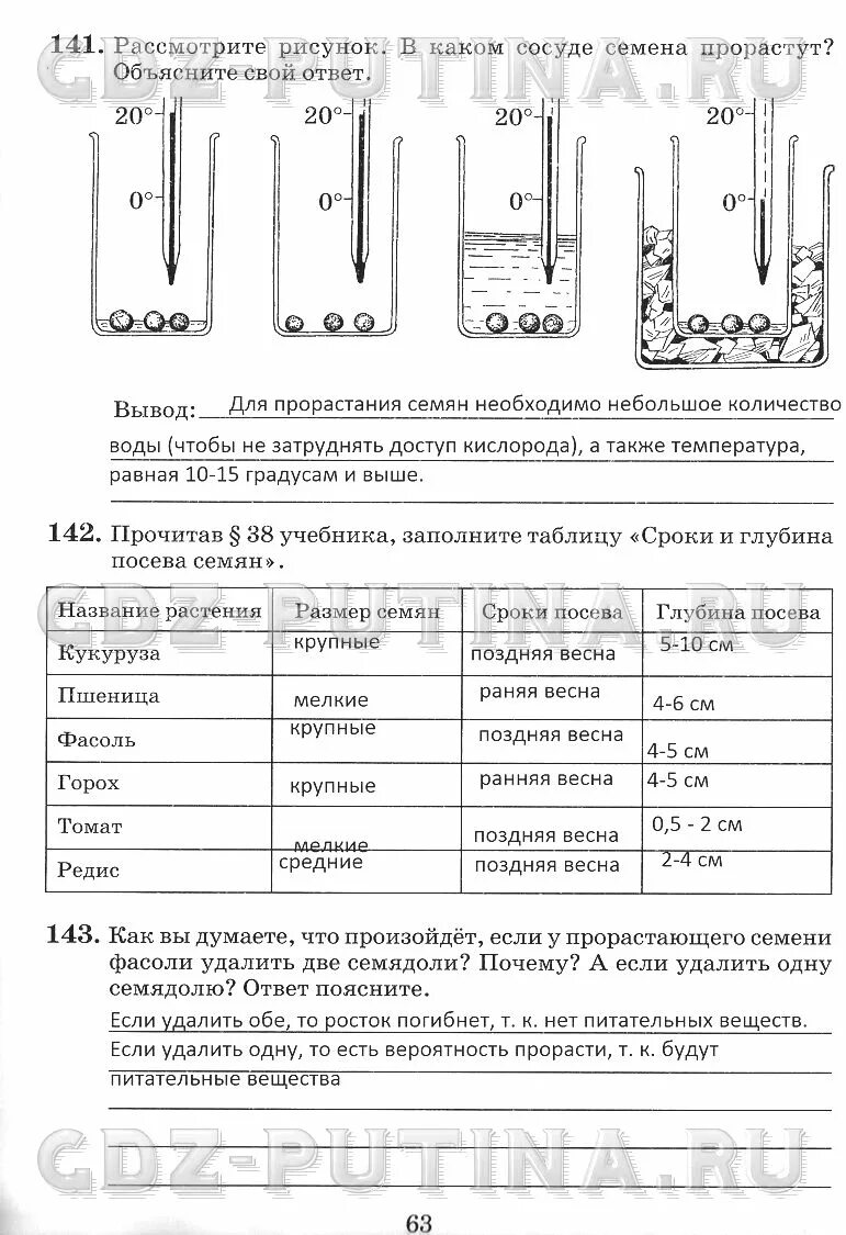 Рассмотрите рисунок в каком сосуде семена