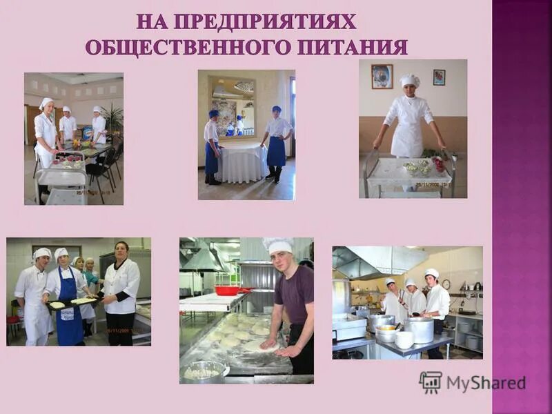 10 технология продукции общественного питания. 02 10 технология продукции. 19. введение технология продукции общественного питания. технолог-калькулятор общественного питания.
