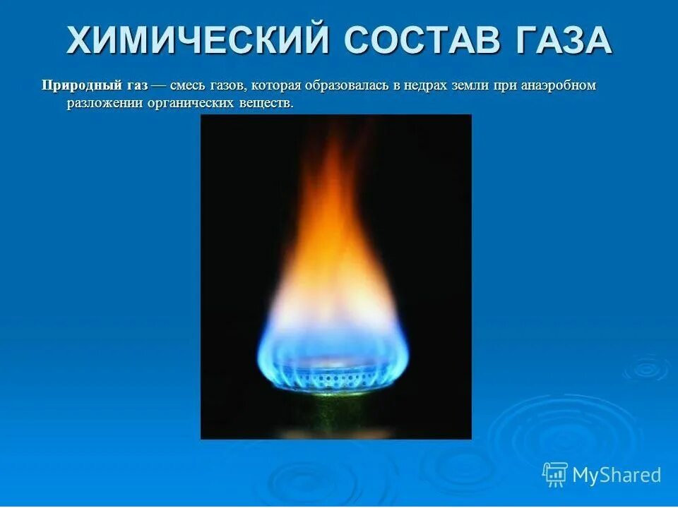 Как называется газа. Как называется газа