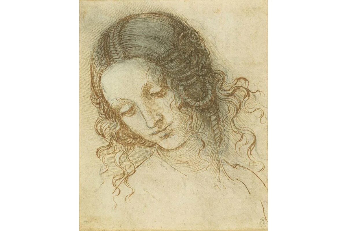 голова леды леонардо да винчи. леда леонардо да винчи. сфумато микеланджело. да винчи человек витрувианский. леонардо да винчи.