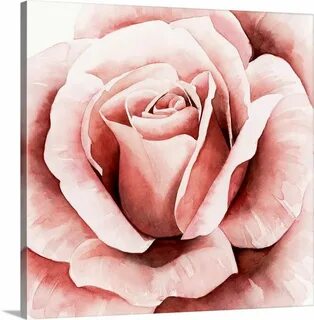 Ll rose