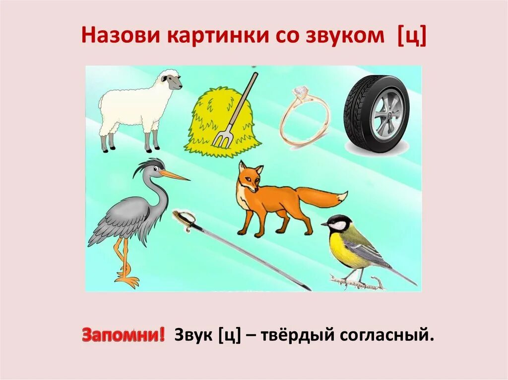 Звук ц. Слова со звуком ц. Картинки со звуком ц. Буква ц для занятия по грамоте.