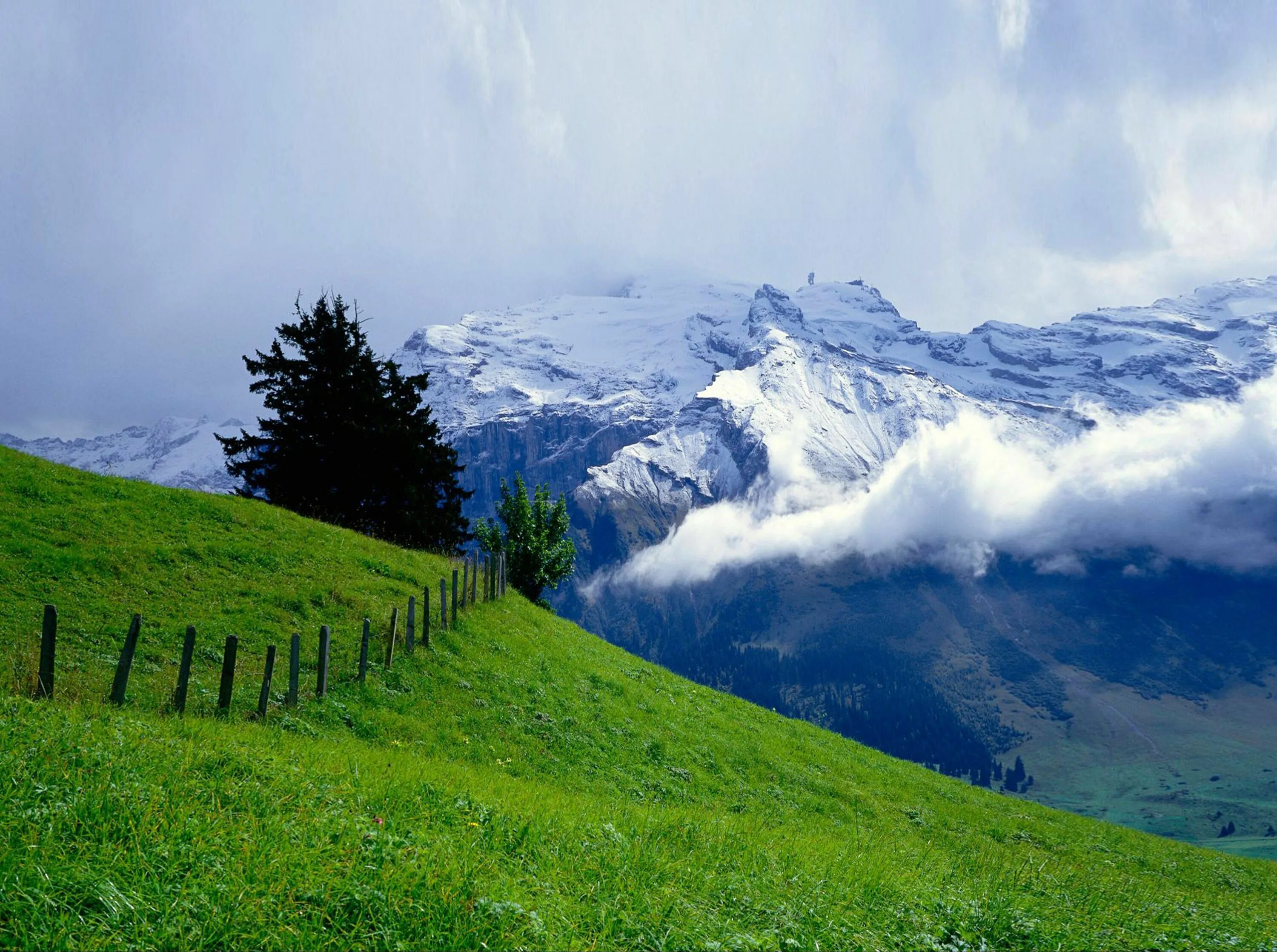 X natural. Долина Лаутербруннен Швейцария. Альпийские Луга Швейцария. Талышские горы. Зеленые Луга Швейцарии.