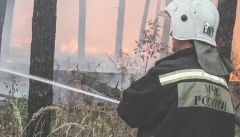 Режим чс в воронеже сегодня