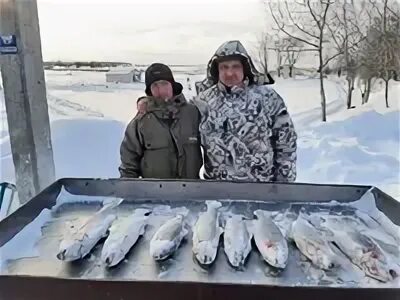 Парус рыбалка форум русфишинг