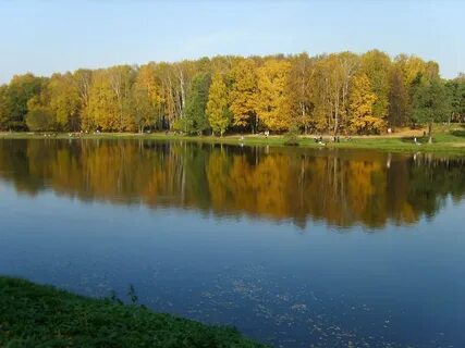 Кузьминский парк пруд