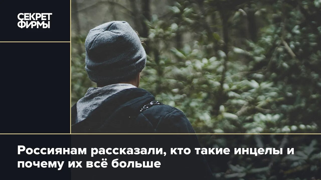 Инцел кто это такой