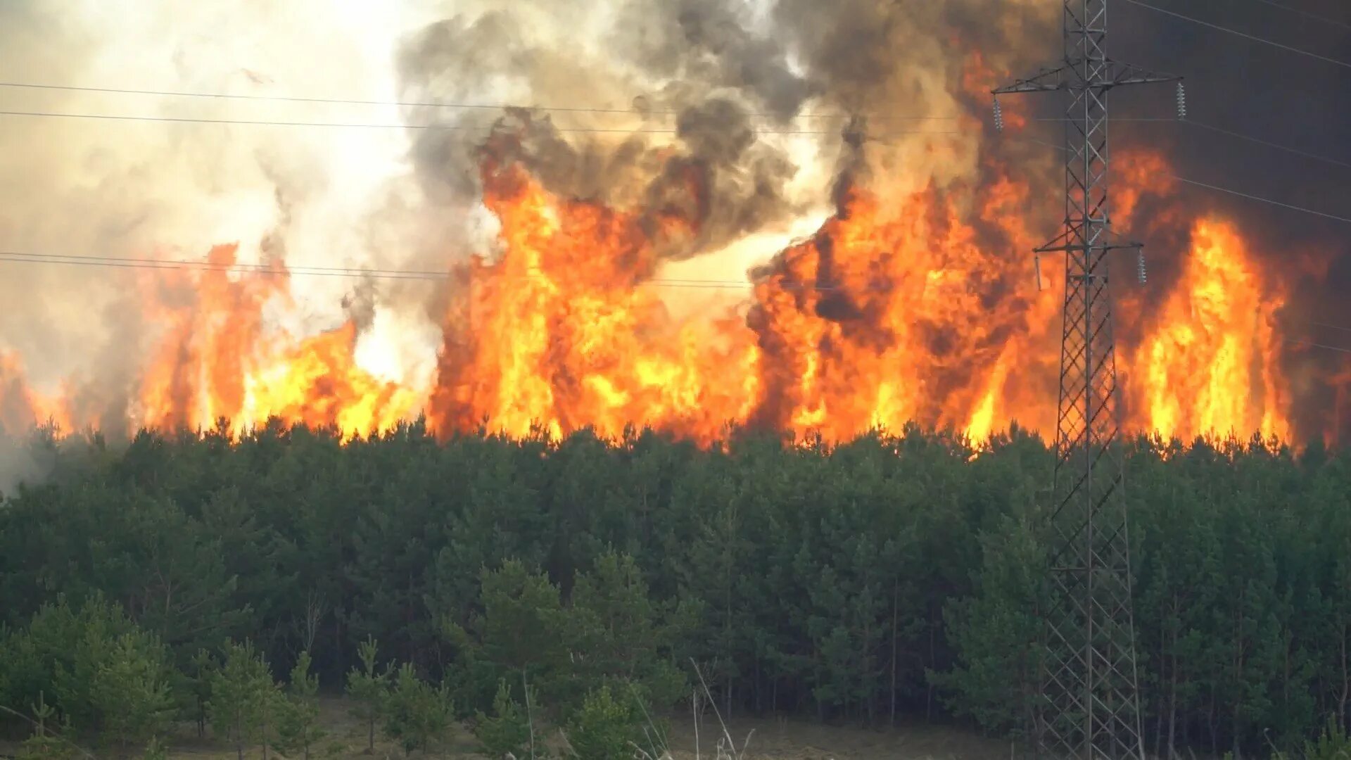 1666г лондон. Лесные пожары в австралии 2020. Лесные пожары в россии 2021 якутия. Пожары в калифорнии 2022. В каком году были пожары.