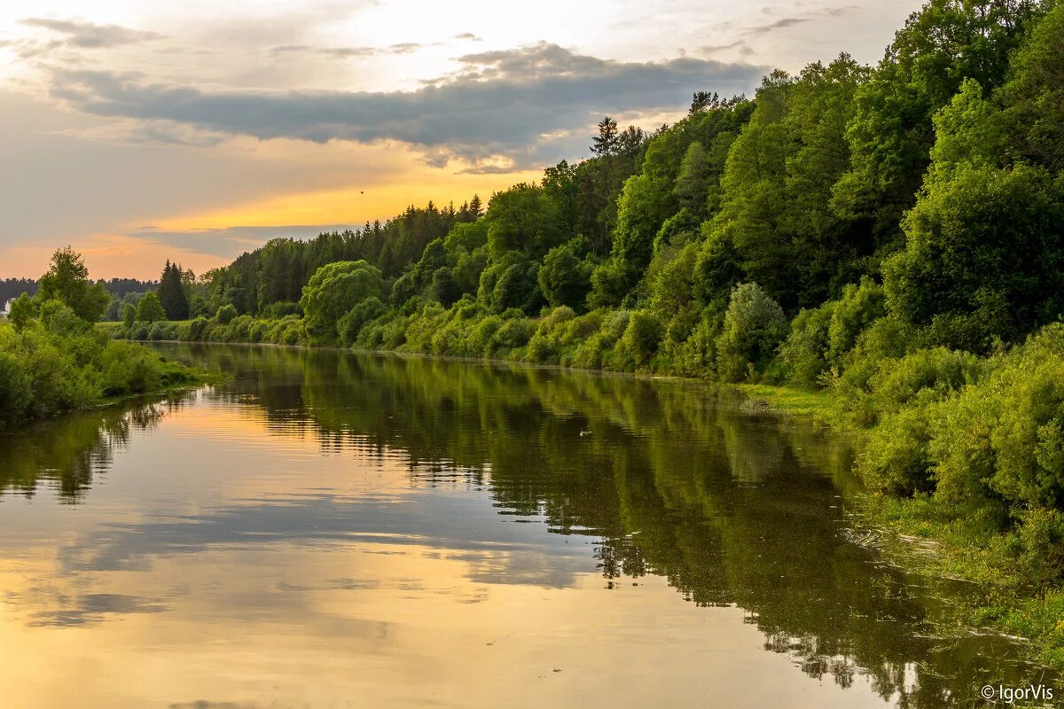 Эх река река. Река Судость. Река Тулва. Река Ресса Калужская область. Шерна река Кольчугино.