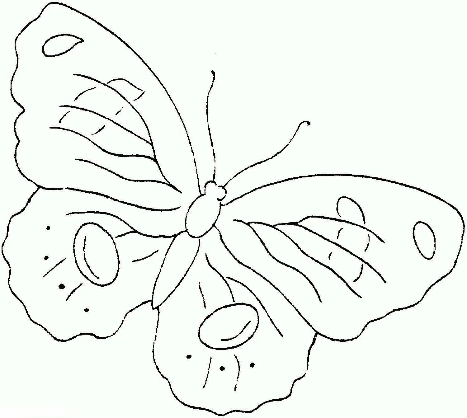 Бабочка лимонница рисунок. Бабочка раскраска для детей. Бабочка раскраска для малышей. Трафарет бабочки для рисования. Бабочка трафарет для раскрашивания.