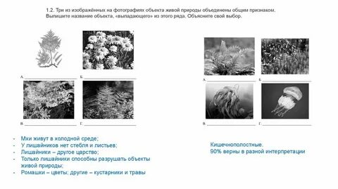 2 объекта объединены общим признаком