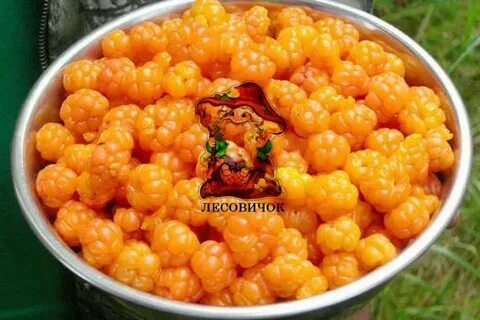 Литр морошки