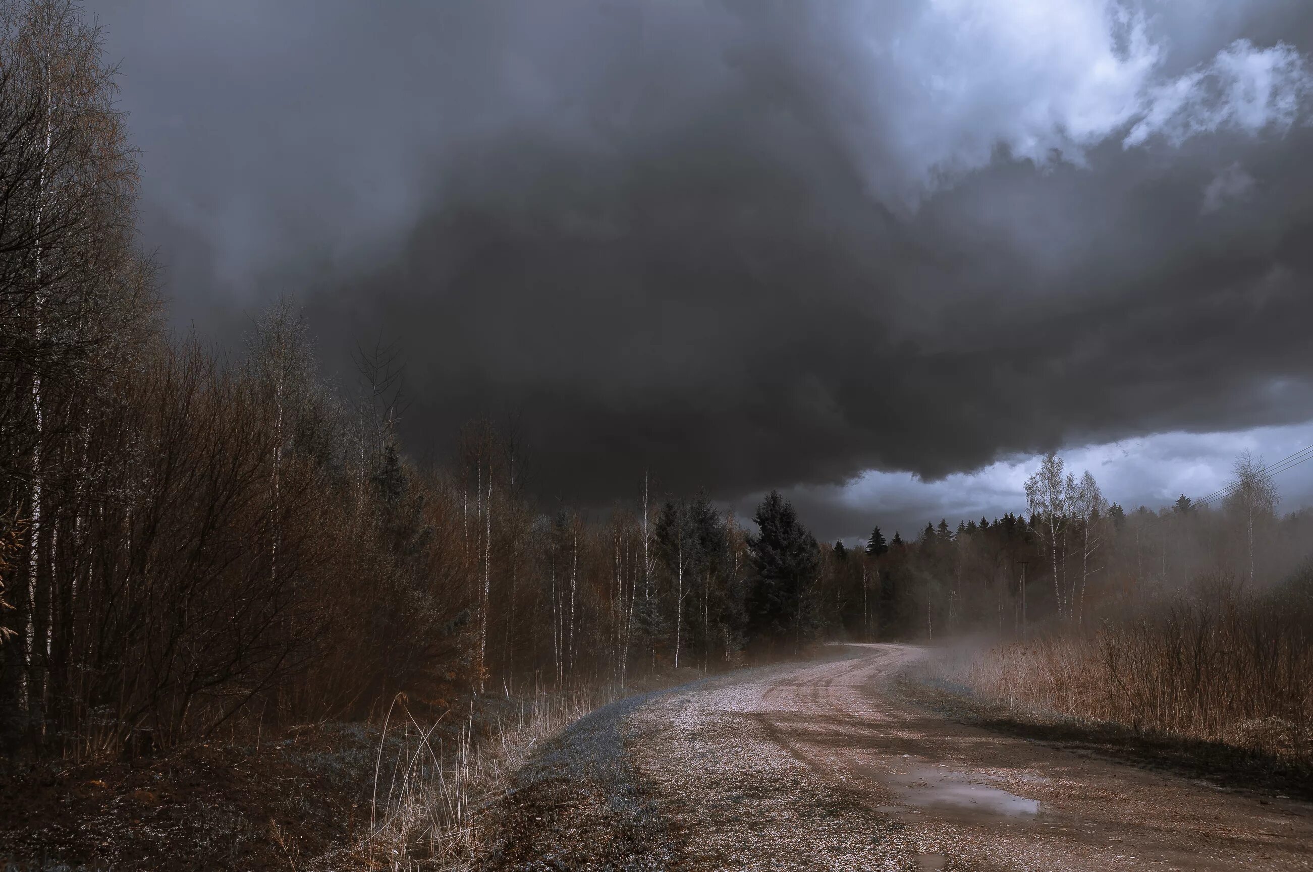 Серое небо осени. Пасмурная осень. Хмурая осень. Пасмурный пейзаж. Пасмурный день.