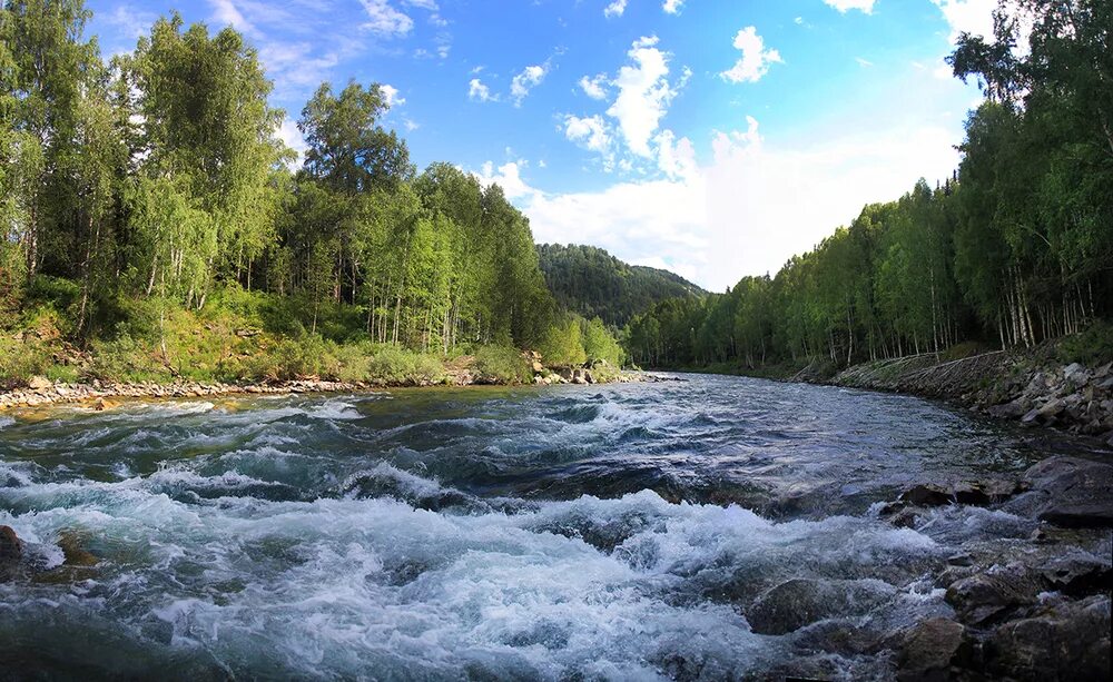 Каз река. Река Бухтарма Восточный Казахстан. Хамир река Восточный Казахстан. Река Громотуха Алтай. Река Курчум.