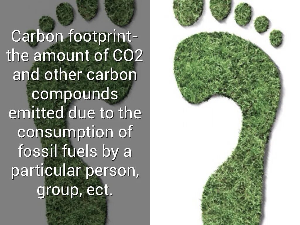 Углеродный след проекта. Углеродный след. Снижение углеродного следа. Co2 footprint. Carbon footprint.