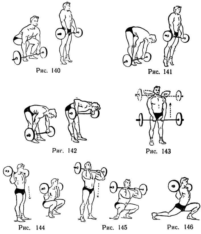 Программа штанга гантели. Упражнения с малой штангой. Комплекс упражнений со штангой 10 лет. Упражнения со штангой в дом условиях. Комплекс упражнений со штангой и гантелями для начинающих.