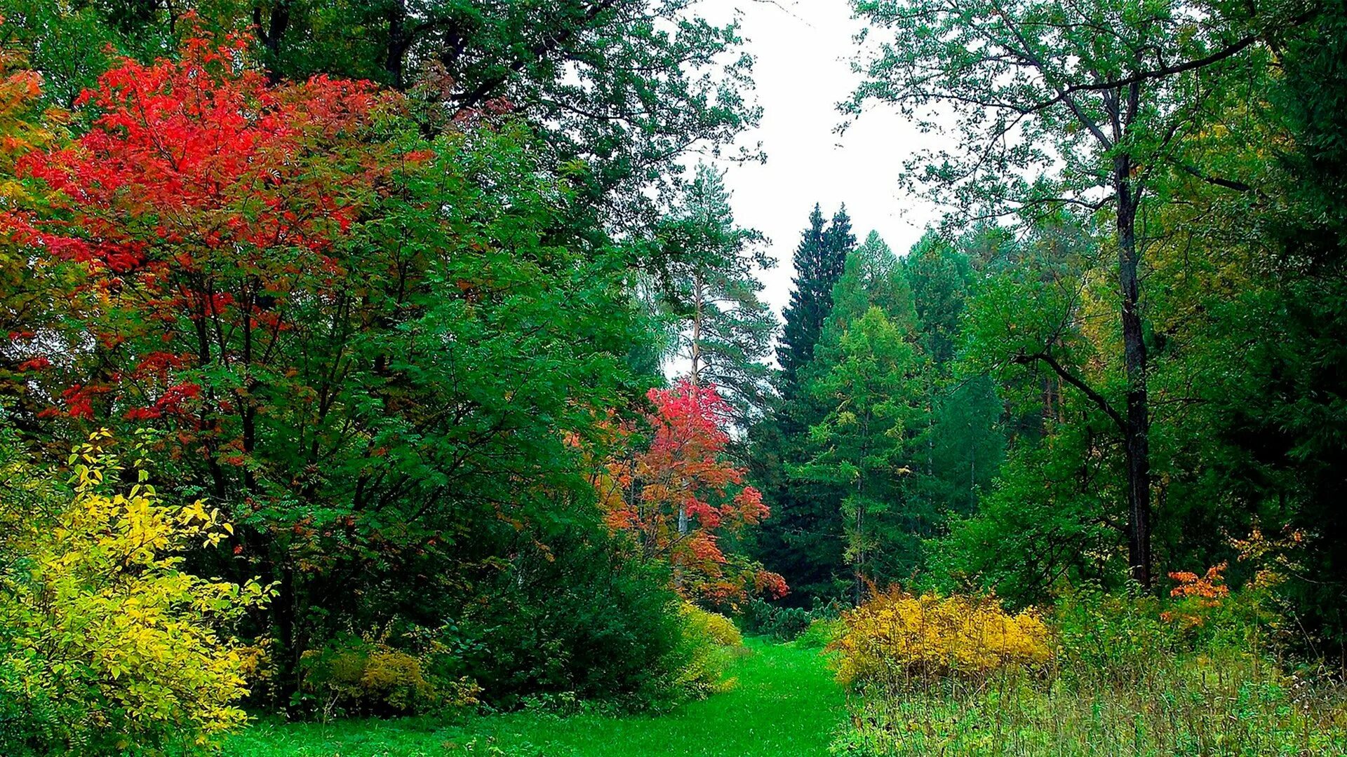 Йошкар-ола ботанический сад экскурсия. Ботанический сад-институт пгту йошкар-ола. Ботанический сад йошкар-ола. Ботанический сад йошкар-ола. Ботанический сад йошкар-ола.