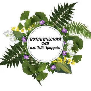 Ботанический сад имени гроздова брянск