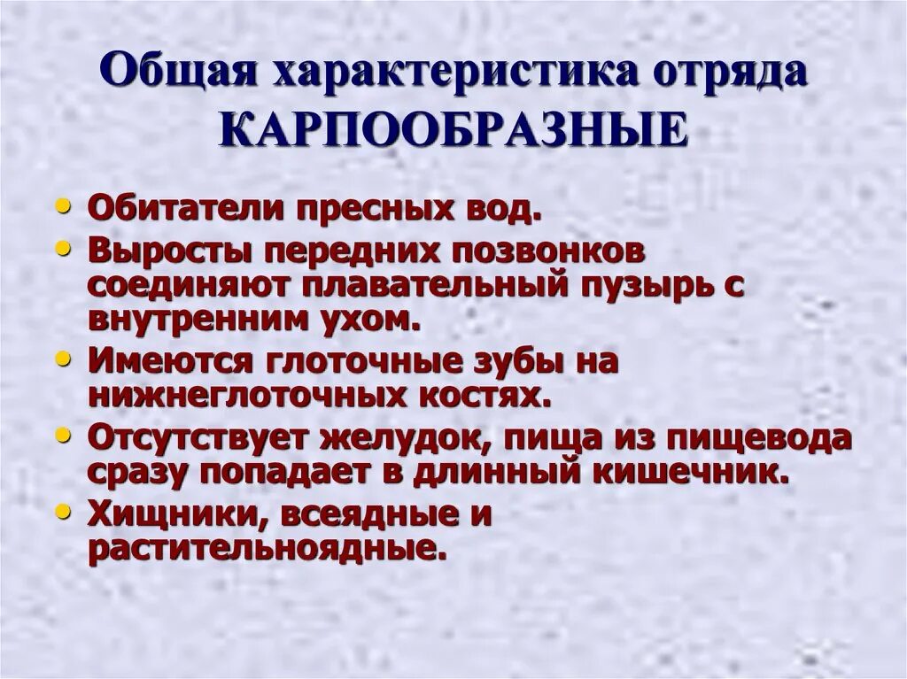 Отряд Карпообразные общая характеристика. Характеристика отряда Карпообразные. Карпообразные особенности строения. Общая характеристика карпообразных рыб.