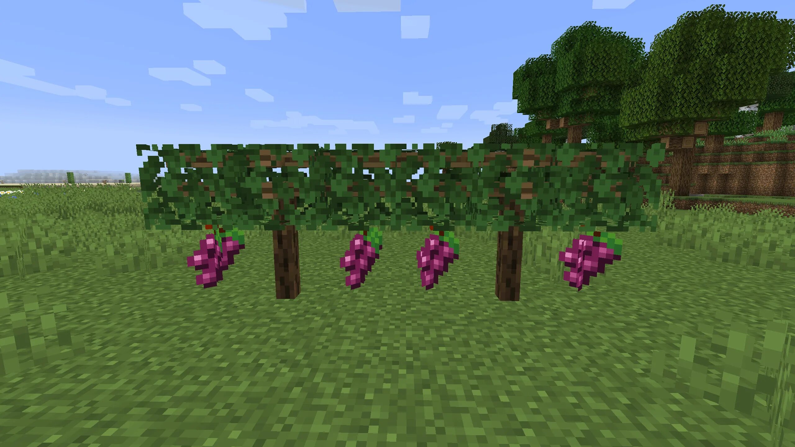 Simple farming. Фермы майнкрафт 1.16.5. simple farming 1.16.5. simple farming 1.16.3. мод simple farming.