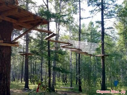 Хамелеон чита