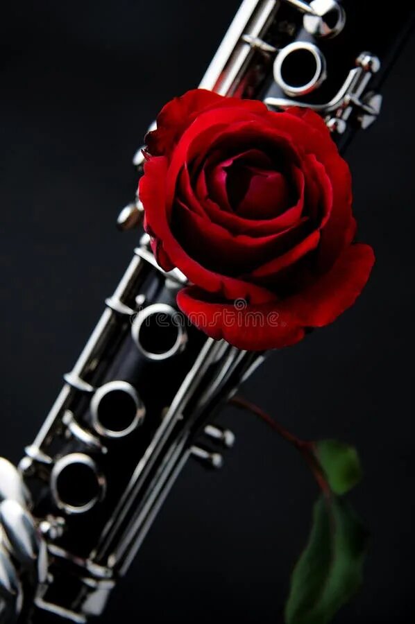 Цветок кларнет. Rose Clarinet. Кларнет цветы. Кларнет с цветами. Кларнет в розах.