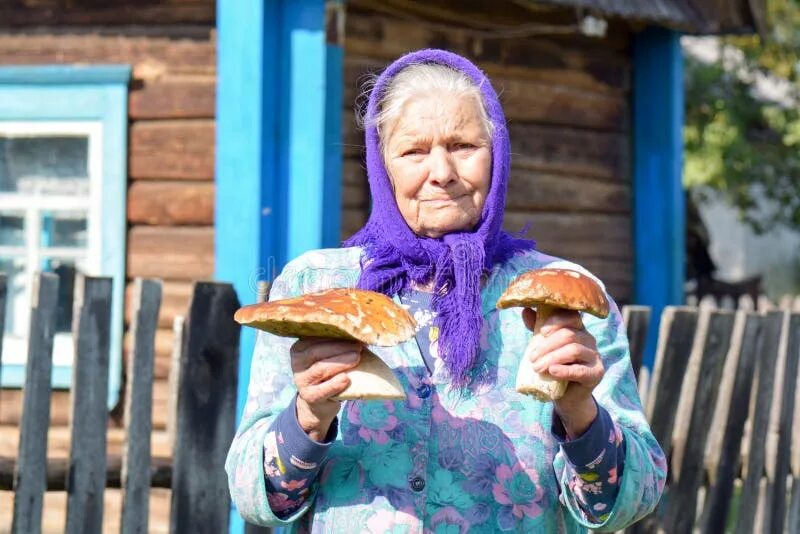 Бабушка ведет. Бабушка с грибами. бабуля с грибами. женщина-пенсионерка в деревне. бабушка грибник.