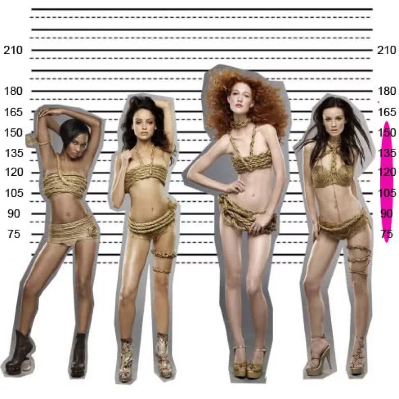 С какого роста можно. Параметры модели девушки. Модели 160 см. Модельный рост. Рост девушек.