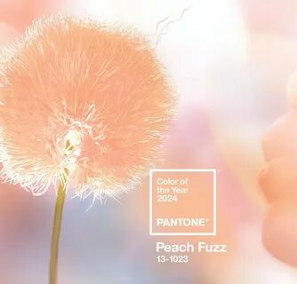 Персиковый пушок 13 1023 peach fuzz