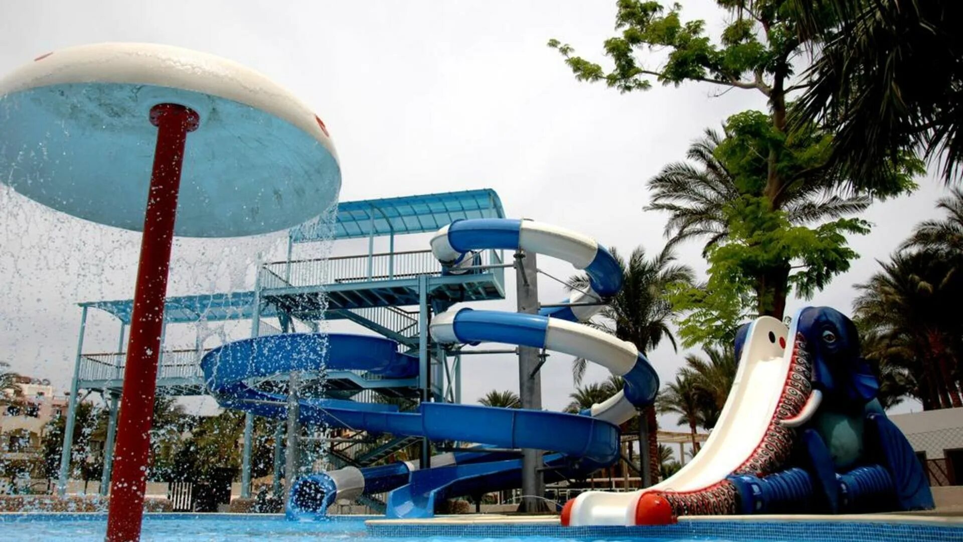 Regina resort 4 хургада. Zya Regina Resort Aqua Park 4. Zya Regina Resort & Aqua Park 4* Египет. Египет отель Реджина Хургада.