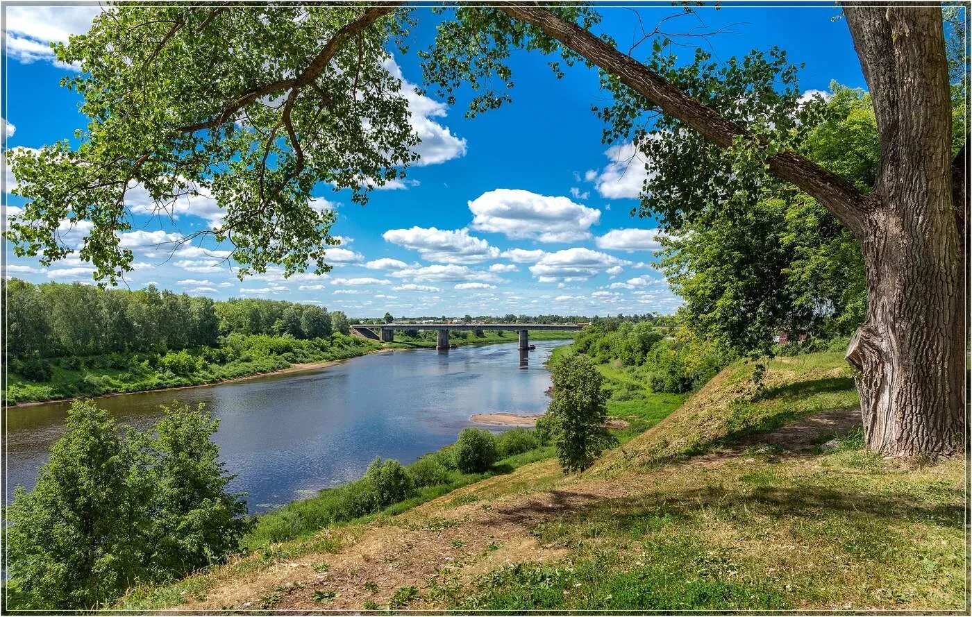 Река западная двина. Река Даугава Западная Двина. Зап.Двина река Полоцк. Западная Двина Полоцк. Река Двина Беларусь.