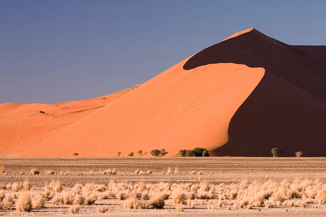 Самая крупная пустыня на земле. Пустыня Намиб дюны. Намибия пустыня Намиб. Песчаные дюны Намибии. Пустыня Намиб самая.