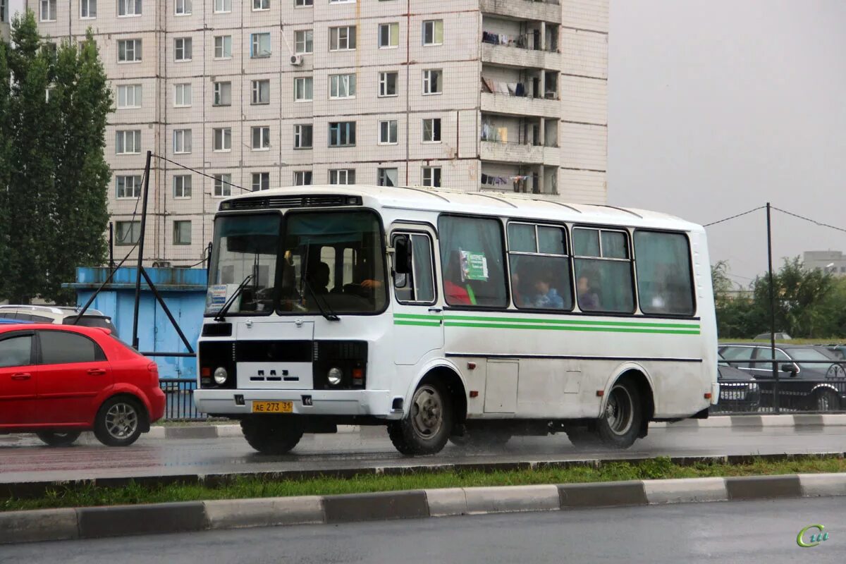 ПАЗ старый Оскол. ПАЗ В Старом Осколе. Автобус 31 старый Оскол. Общественный транспорт старый Оскол. Номер автобуса старый оскол